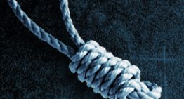 Fifty Shades of Government