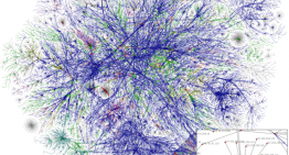 How the Internet Saved Civilization