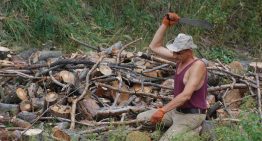 10 Dangers That Await You in the Woods