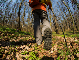 Staying Safe From Tick Bites