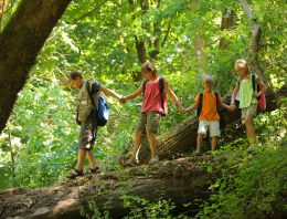 What Children Need to Know About Preparedness