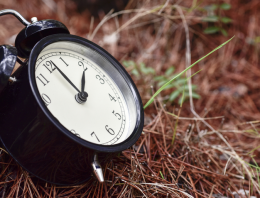 Survival for the Long Haul