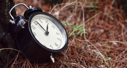 Survival for the Long Haul