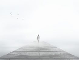 Disappear Without a Trace [Video Update]