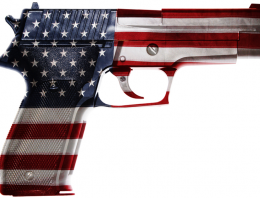 How to Beat the Department of Homeland Security’s “Gun-Spying” Program