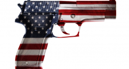 How to Beat the Department of Homeland Security’s “Gun-Spying” Program