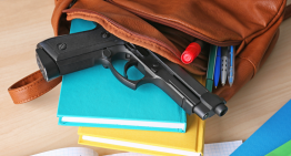 URGENT: School Safety Warnings