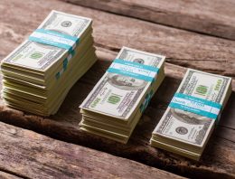 Would you pay a ransom or not?