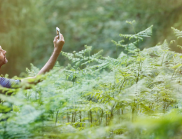 Alone and Afraid – But Alive