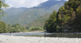 River Risks: Two Deadly Dangers to Avoid in the Great Outdoors