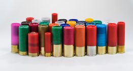 Are shotgun shells worth reloading?