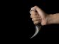 Beware the Tiger Claw