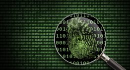 Stealth Searching: Three Ways to Erase Your Digital Fingerprint