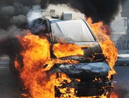 How to Survive Riots and Looting
