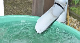 Urban Survival Water Secrets