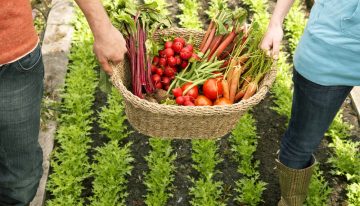The Edibility Test  That Will Save Your Life