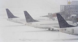 Must-Read Articles: Flying in the Face of Danger