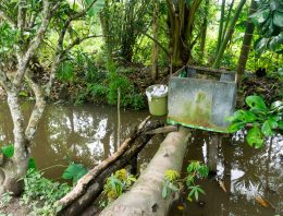 The Top 12 Mistakes Preppers Make (And How You Can Avoid Them) — Part III