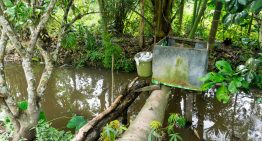The Top 12 Mistakes Preppers Make (And How You Can Avoid Them) — Part III