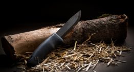Survival Skills We Can Learn From Native Americans