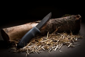 survival skills