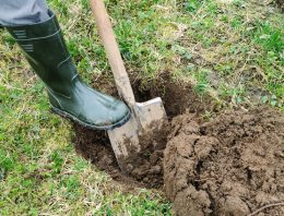 Setting Up Your Survival Cache