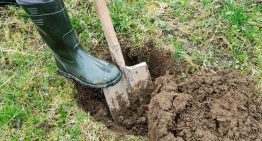 Setting Up Your Survival Cache