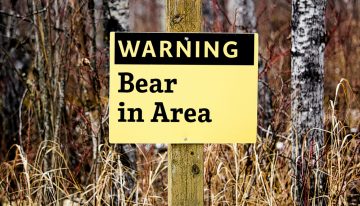 How to Prevent (and Survive) a Bear Attack