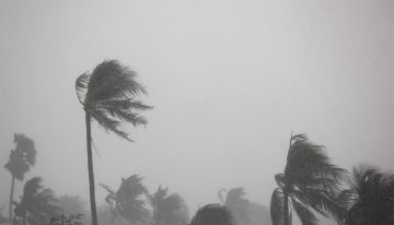 Three Hurricane Katrina Survival Lessons You Probably Missed