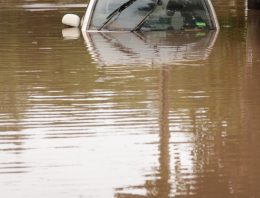 What to Do When the Water Is Rising