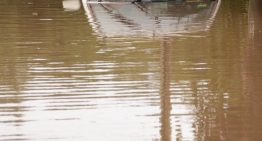 What to Do When the Water Is Rising