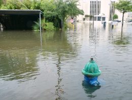 Hurricane Water Survival Checklist