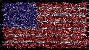 Second Amendment rights