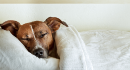 How You Sleep Is Related to What You Breathe