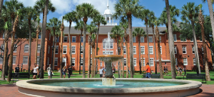 university