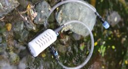 Surviving Water Contamination