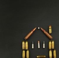 Home Defense and Survival Summit