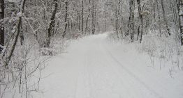 Whiteout Conditions
