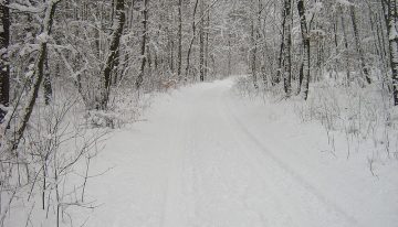 Whiteout Conditions