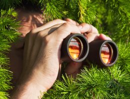 Signs Your House is Being Watched