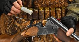 Do you need a brush gun?