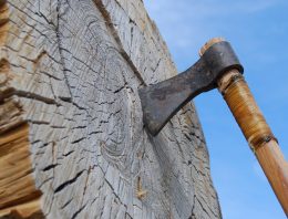 Axe throwing homeowner chops down intruder