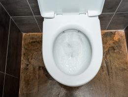 California “top cop” loses gun in toilet