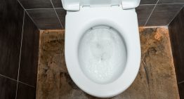 California “top cop” loses gun in toilet
