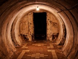 How this family survived 14 hellish days in their “bunker”