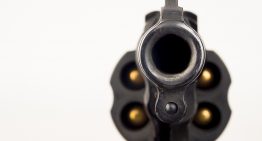 79-year-old grandma takes down intruder with her revolver