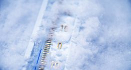The “frozen beer” survival diet