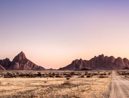 Surviving in the Desert