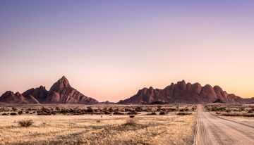 Surviving in the Desert