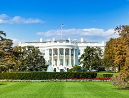 Is the Government going to confiscate guns?